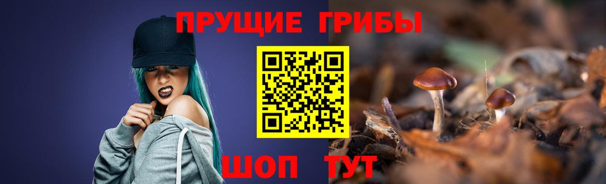 Галлюциногенные грибы GOLDEN TEACHER  купить   Вход с VPN  Красноперекопск  Псилоцибиновые грибы Cubensis 